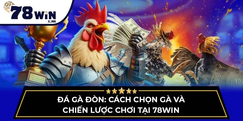 đá gà đòn