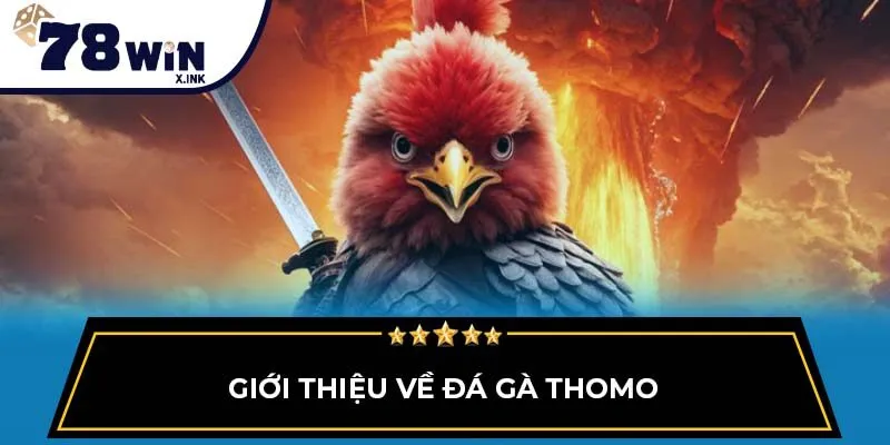 Giới thiệu về đá gà Thomo